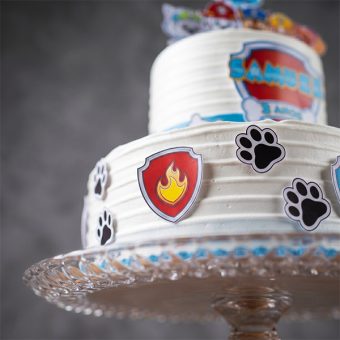 paw patrol two tier birthday cake side view