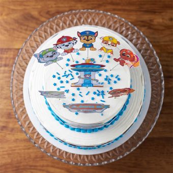 paw patrol two tier birthday cake top view